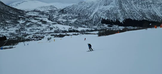 20250214_103532.webp