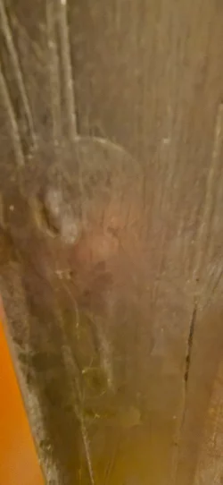 20250223_203030.webp