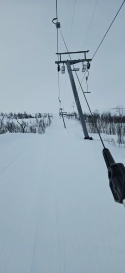 20250324_111520.webp