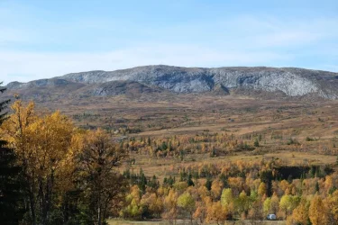 Mullfjället.webp