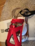 IMG_7106.jpg