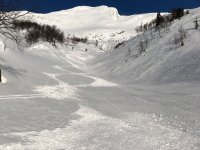 IMG_8701.jpg