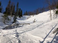 IMG_8704.jpg