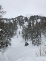 IMG_0270.jpeg