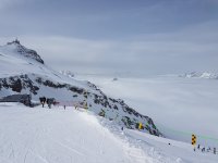 20180408_104418.jpg