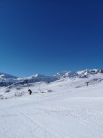 IMG_20190409_094921.jpg