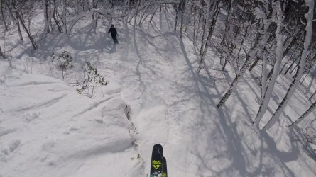 4322AB66-1F5C-4A07-965F-C925FD3B3EB9.jpeg