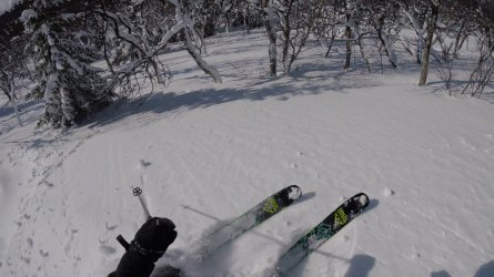 4803288C-0E70-44B6-98BD-034F80FD6E4D.jpeg