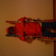 Reisarn