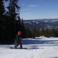 Andresen
