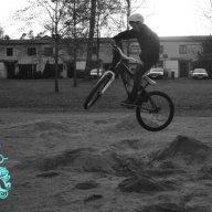 jibb-robban