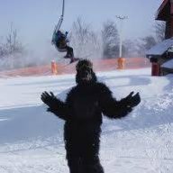 gorillala