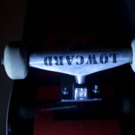 TIPP