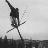 dahlsXteam-pb