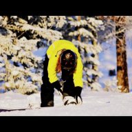 snowboardbruden