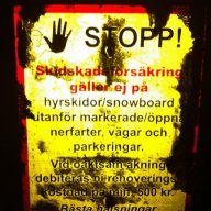 Skaegget