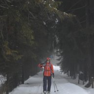 GustavKuljis