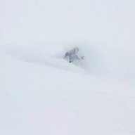 HSchwarz