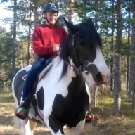 ZackeToresson