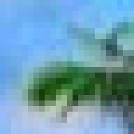 adamwere