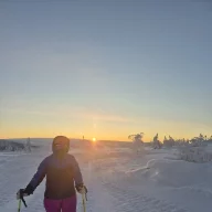 Påfågelöga