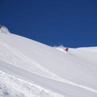 freeride81