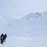 doktorHal