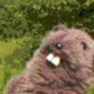 tis