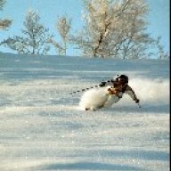 stam_swe