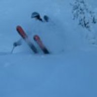 fredde_85