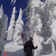 Eddietheeagle