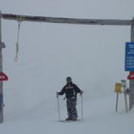 Nordica