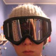 Irish_morris