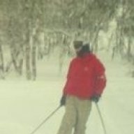 norwayguy