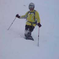 Snow-wolf