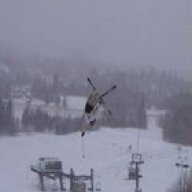 Salomon-Flyer