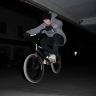 Ronn_VRDL