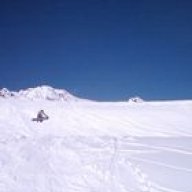 henrii