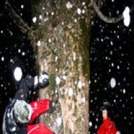 Powderaction
