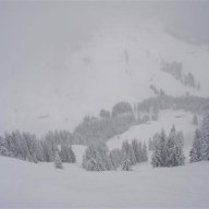 Bjurka