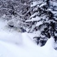 Victor_L
