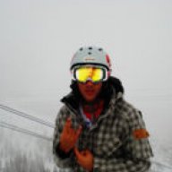 Anis