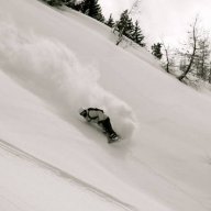 Persson88