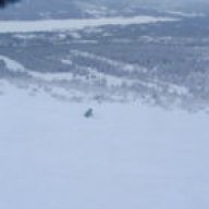downhillkrille