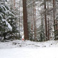 JDahlstroem