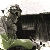 Dimman80