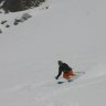 powderalert