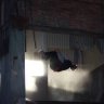 FantasyFreerun