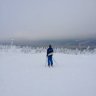 HampusNilsson