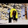 snowboardbruden